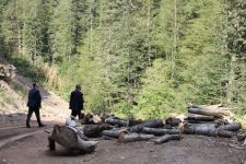 ÖZCAN’DAN ÖZLÜ’YE ALTERNATİF ABANT YOLU TEPKİSİ "SANA BU YOLU AÇTIRTMAM DEREBEYİ FARUK"