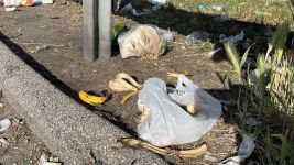 TATİLCİLERDEN GERİYE ÇÖPLER KALDI