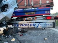 TIRA ÇARPAN PANELVAN HURDAYA DÖNDÜ: 1 YARALI