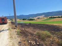 TRAFODAN ÇIKAN KIVILCIMLAR ARPA EKİLİ TARLAYI YAKTI