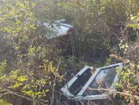 YOLDAN ÇIKAN ARAÇ AĞAÇLIK ALANA UÇTU: 1 YARALI