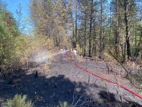 ALLAH KORUDU... YILIN İLK ORMAN YANGINI UCUZ ATLATILDI...