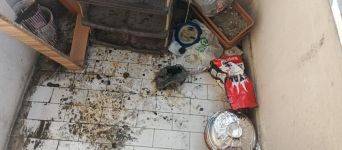 BALKONDA MANGALA 2 BİN 935 TL CEZA...