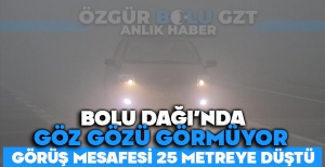 BOLU DAĞI'NDA GÖZ GÖZÜ GÖRMÜYOR: GÖRÜŞ MESAFESİ 25 METREYE DÜŞTÜ