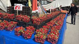 BOLU PAZARINDA ÇİLEK BOLLUĞU...