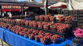 BOLU PAZARINDA ÇİLEK BOLLUĞU...