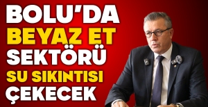 BOLU'DA BEYAZ ET SEKTÖRÜ SU SIKINTISI ÇEKECEK...