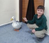 BOLU'DA EN EĞLENCELİ HARF ÖĞRENME BU SINIFTA...