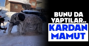 BOLU'DA ESNAFTAN İLGİNÇ KARDAN HEYKEL