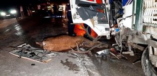 BOLU'DA FECİ KAZA, 1 KİŞİ HAYATINI KAYBETTİ.