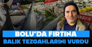 BOLU'DA FIRTINA BALIK TEZGAHLARINI VURDU