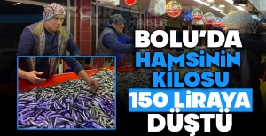 BOLU'DA HAMSİNİN KİLOSU 150 LİRAYA DÜŞTÜ