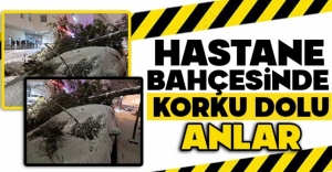 BOLU'DA HASTANE BAHÇESİNDE KORKU DOLU ANLAR
