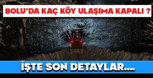 BOLU'DA KAÇ KÖY YOLU ULAŞIMA KAPALI... İŞTE SON DETAYLAR...