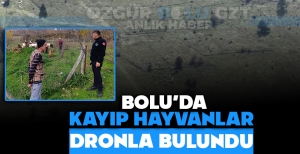 BOLU'DA KAYIP HAYVANLAR DRONLA BULUNDU