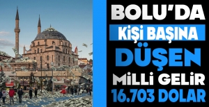 BOLU'DA KİŞİ BAŞINA DÜŞEN MİLLİ GELİR 16.703 DOLAR
