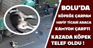 BOLU'DA KÖPEĞE ÇARPAN HAFİF TİCARİ ARACA KAMYON ÇARPTI