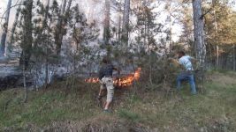 BOLU'DA ORMAN YANGINI... EKİPLER SEFERBER OLDU....