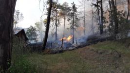 BOLU'DA ORMAN YANGINI... EKİPLER SEFERBER OLDU....