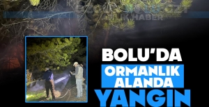 BOLU'DA ORMANLIK ALANDA YANGIN