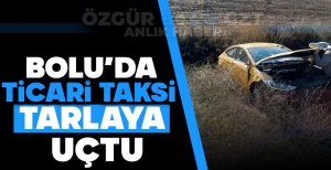 BOLU'DA TİCARİ TAKSİ TARLAYA UÇTU