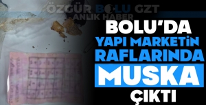 BOLU'DA YAPI MARKETİN RAFLARINDA MUSKA ÇIKTI