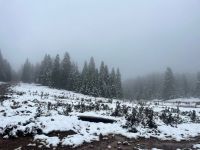 BOLU'DAN KAR MANZARALARI