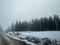 BOLU'DAN KAR MANZARALARI