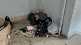 BOLU'NUN ÇÖP APARTMANI