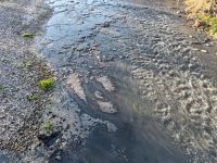 BOLU'NUN KANAYAN YARALARINDAN BİRİ... GEREDE ÇAYI...