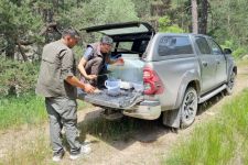 DERELERE 12 BİN ALABALIK YAVRUSU BIRAKILDI