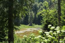 DÜZCE FENERBAHÇE'DEN SONRA GALATASARAY'A DA YER VERİYOR