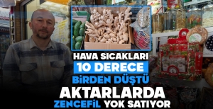 HAVA SICAKLIKLARI 10 DERECE BİRDEN DÜŞTÜ, AKTARLARDA ZENCEFİL YOK SATIYOR
