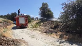 HAVA SICAKLIKLARI ARTIYOR.. ORMAN YANGINLARINA DİKKAT...