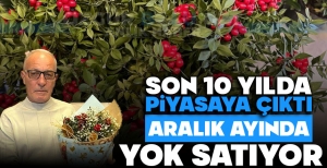 SON 10 YILDA PİYASAYA ÇIKTI: ARALIK AYINDA YOK SATIYOR