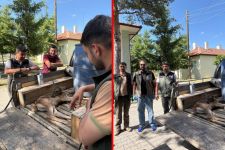 YARALI YAVRU GEYİK TEDAVİ ALTINA ALINDI....