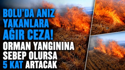 BOLU'DA ANIZ YAKANLARA AĞIR CEZA! ORMAN YANGININA SEBEP OLURSA 5 KAT ARTACAK