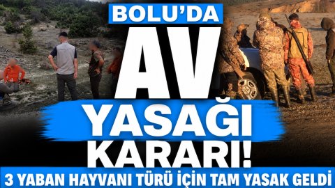BOLU'DA AV YASAĞI KARARI! 3 YABAN HAYVANI TÜRÜ İÇİN TAM YASAK GELDİ