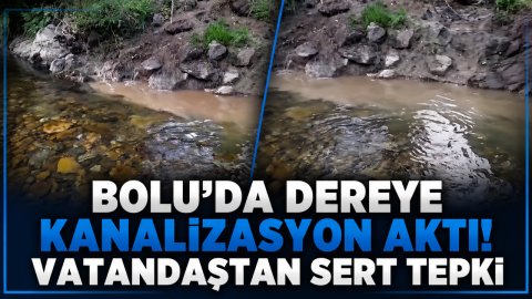 BOLU'DA DEREYE KANALİZASYON AKTI! VATANDAŞTAN SERT TEPKİ