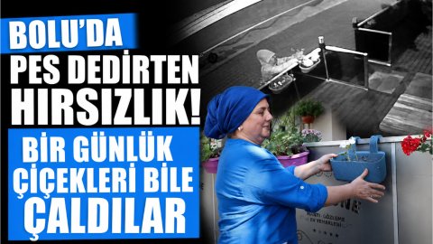BOLU'DA PES DEDİRTEN HIRSIZLIK! BİR GÜNLÜK ÇİÇEKLERİ BİLE ÇALDILAR