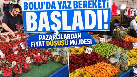 BOLU'DA YAZ BEREKETİ BAŞLADI! PAZARCILARDAN FİYAT DÜŞÜŞÜ MÜJDESİ