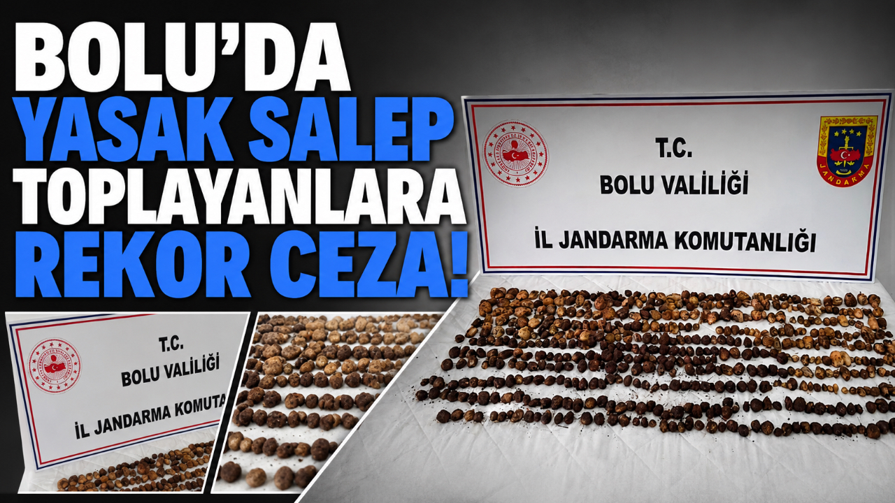 BOLU’DA YASAK SALEP TOPLAYANLARA REKOR CEZA!