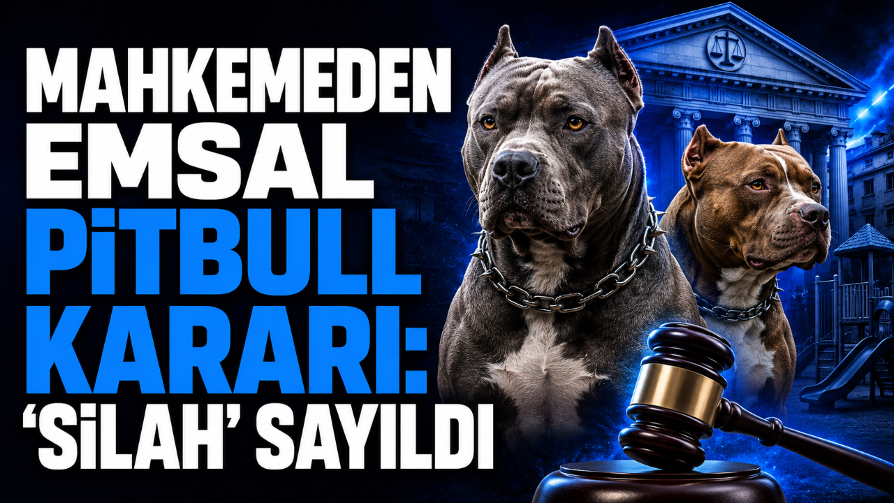 MAHKEMEDEN EMSAL PİTBULL KARARI: “SİLAH” SAYILDI