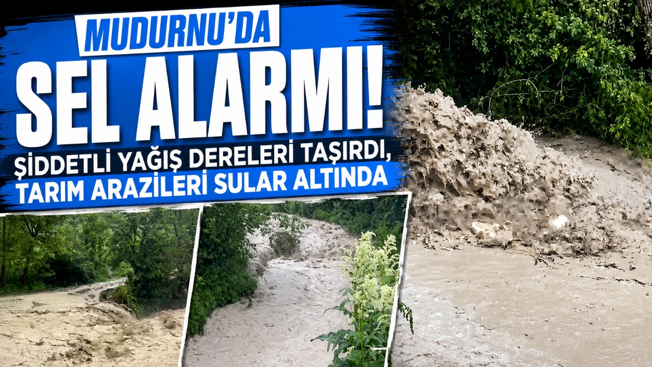 MUDURNU'DA SEL ALARMI! ŞİDDETLİ YAĞIŞ DERELERİ TAŞIRDI, TARIM ARAZİLERİ SULAR ALTINDA