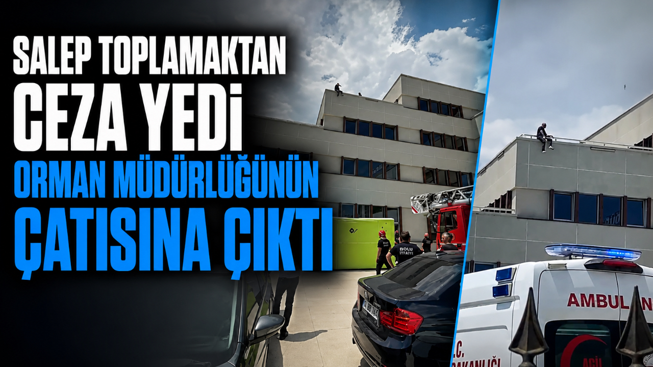 SALEP TOPLAMAKTAN CEZA YEDİ ORMAN MÜDÜRLÜĞÜNÜN ÇATISINA ÇIKTI