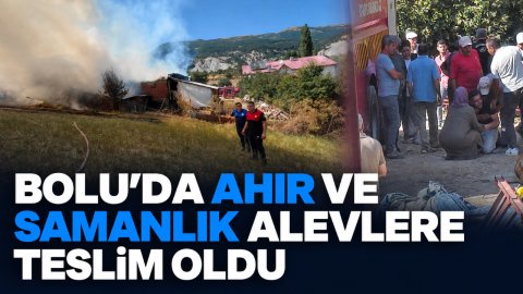 BOLU'DA AHIR VE SAMANLIK ALEVLERE TESLİM OLDU