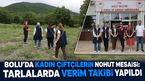BOLU'DA KADIN ÇİFTÇİLERİN NOHUT MESAİSİ: TARLALARDA VERİM TAKİBİ YAPILDI