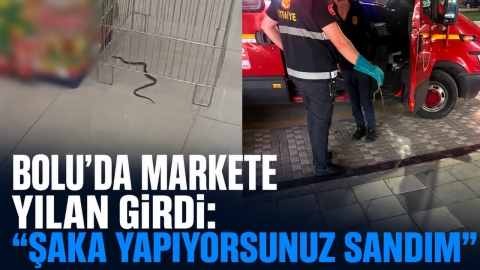 BOLU'DA MARKETE YILAN GİRDİ: “ŞAKA YAPIYORSUNUZ SANDIM”