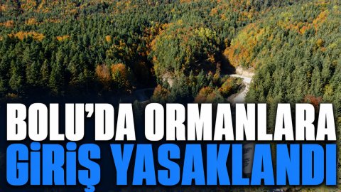 BOLU'DA ORMANLARA GİRİŞ YASAKLANDI