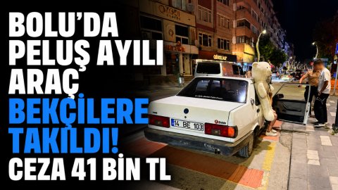 BOLU'DA PELUŞ AYILI ARAÇ BEKÇİLERE TAKILDI! CEZA 41 BİN TL